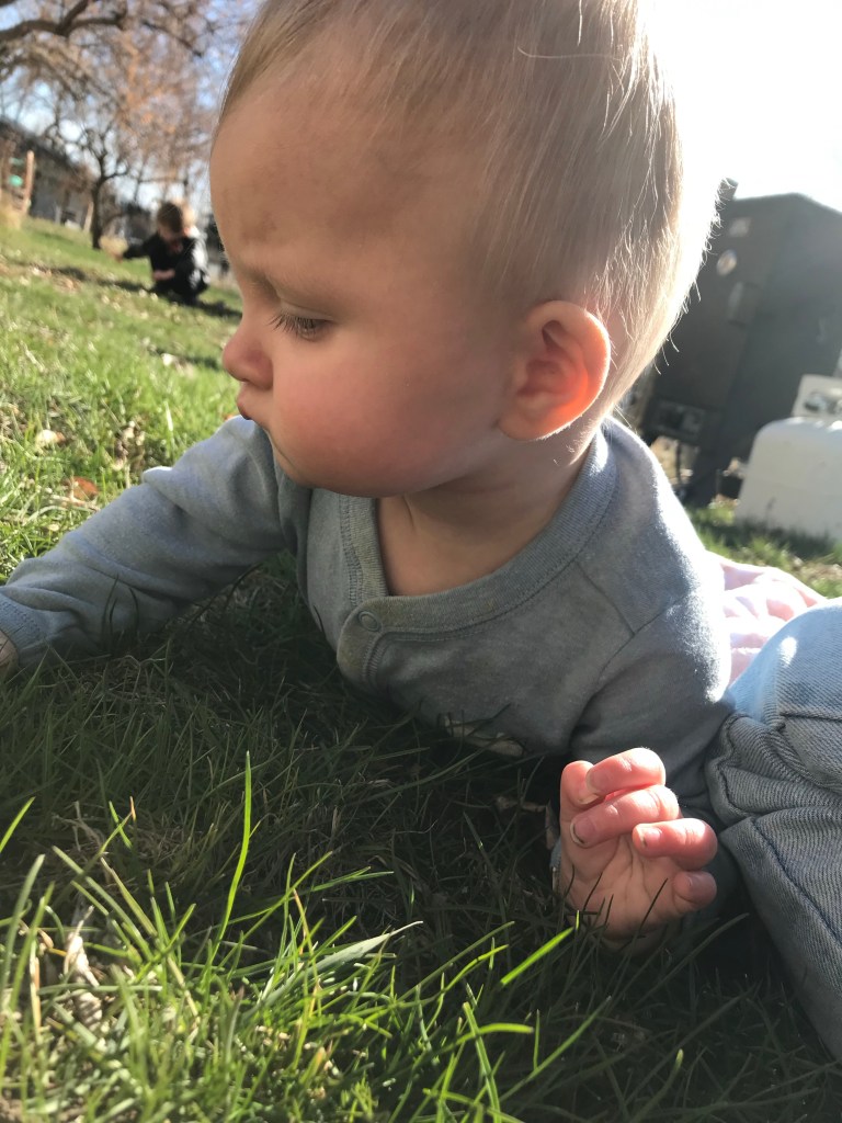 7 1/2 month old baby girl doing tummy time in the grass in the warm sunshine while her toddler brother is crouched playing behind her under the trees.