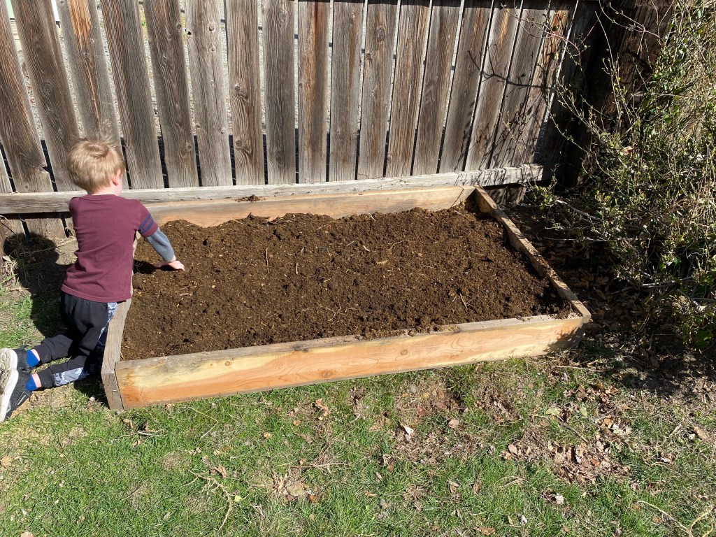 Toddler playing with dirt in newly built wooden raised garden bed 
