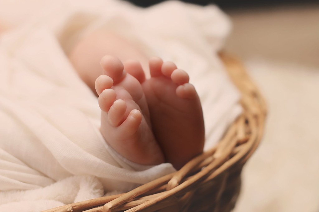Newborn babies toes sticking up from a white swaddle in a smooth wicker basket for photo shoot 