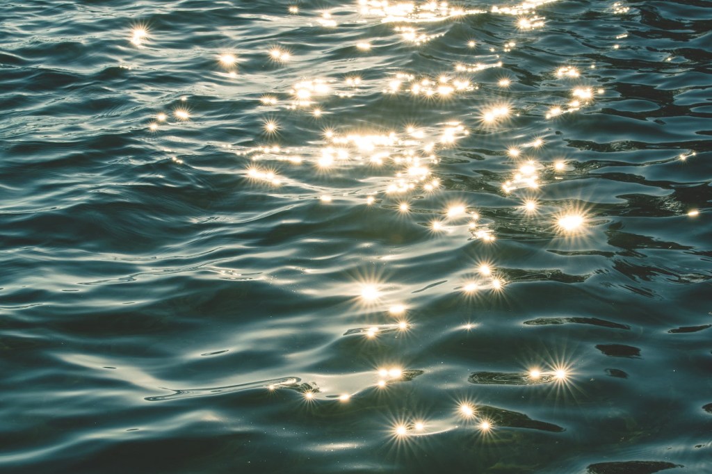 Sun sparkling on rippling water