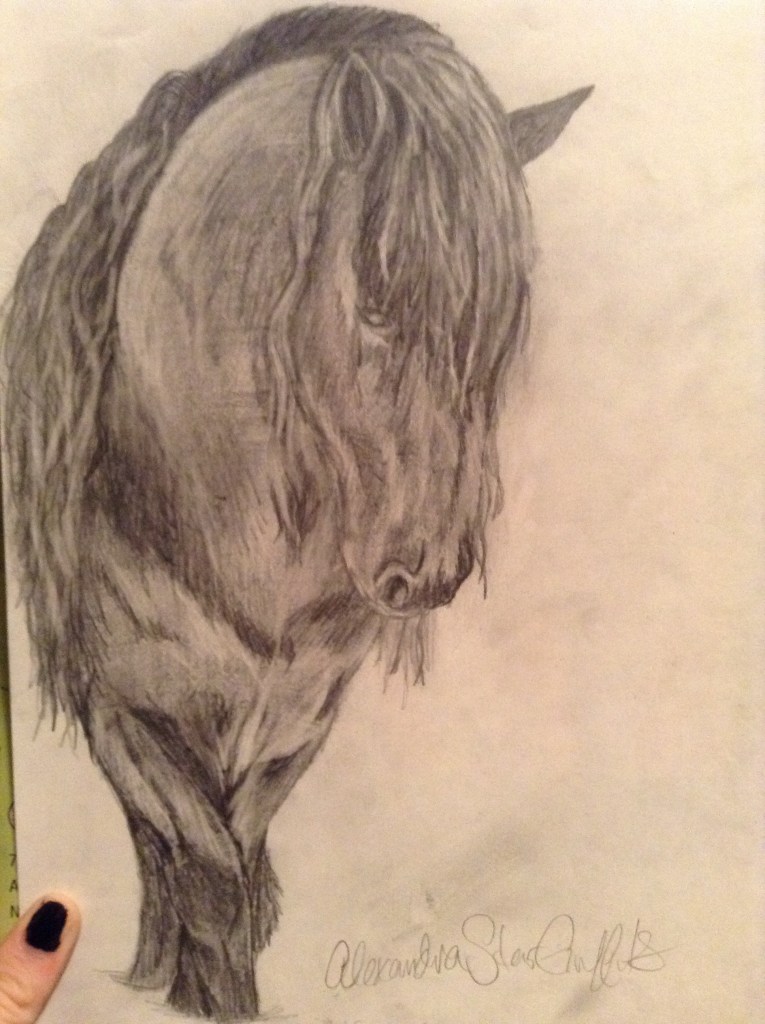 Dark pencil sketch of a black horse face forward