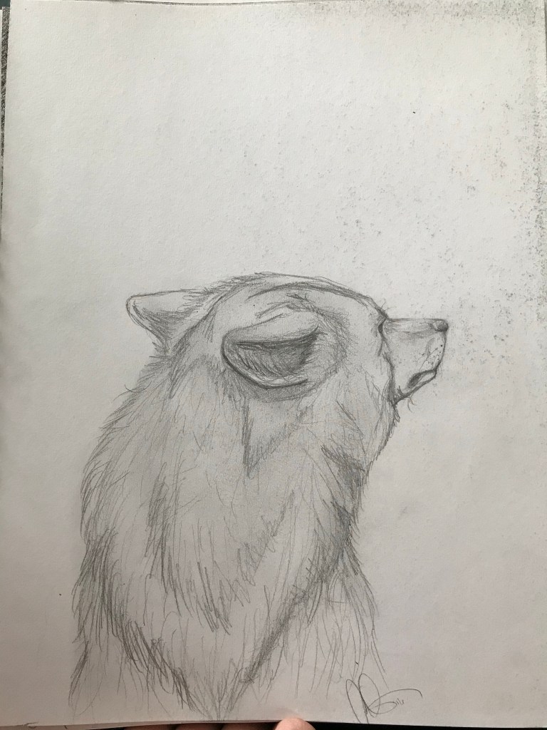 Pencil sketch of a dog looking in the distance facing away