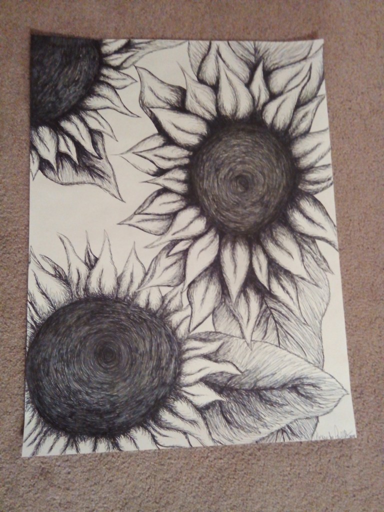 Pen and ink sketch of sunflowers