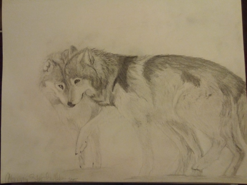 Pencil sketch of two wolves one behind the other side by side