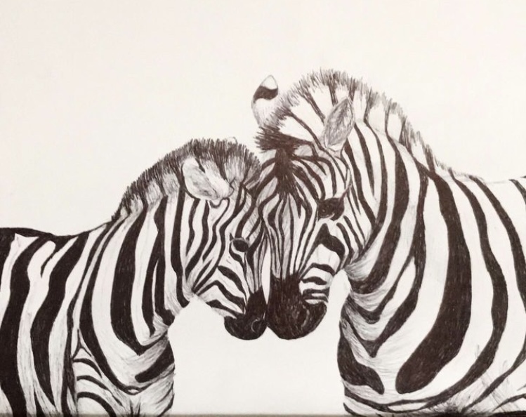 Ink sketch of a baby and mother zebra touching heads