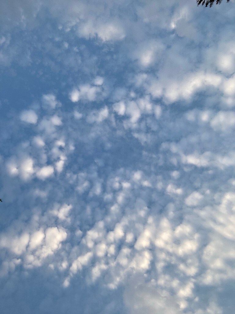Blue sky with sparse clouds