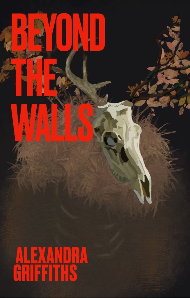 Book cover for my novel Beyind the Walls by Alexandra Griffiths