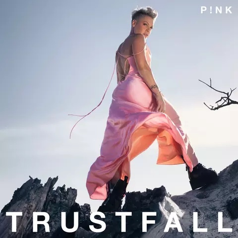 The Trustfall album cover of P!nk