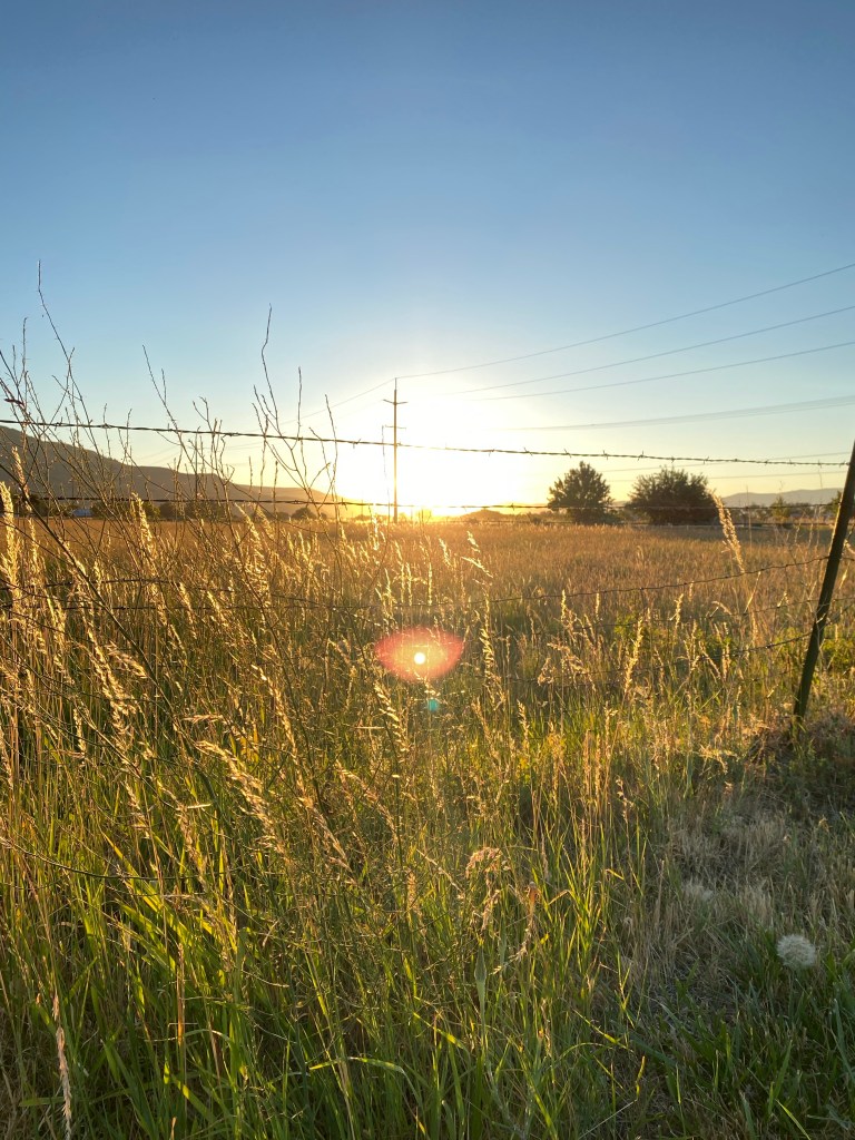 Sunset behind barbed wire fence and hay field. Taken by Alexandra Griffiths 2024
