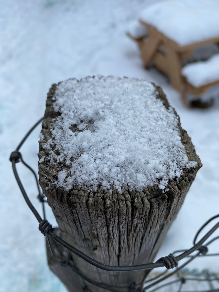 Photographed by Alexandra Griffiths 2025
Snow on a wooden fence post